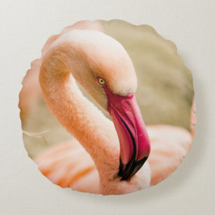 A Beautiful Pink Flamingo Round Pillow