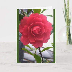 A "BEAUTIFUL" ROSE FOR "BEAUTIFUL" YOU CARD