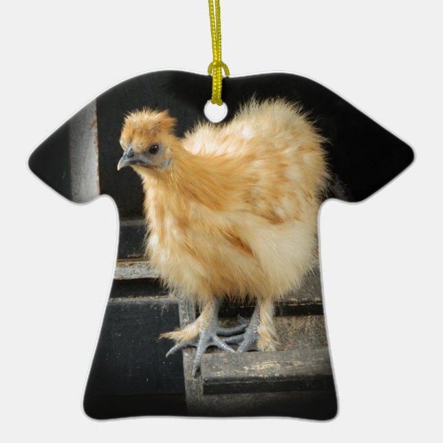 a beautiful Silkie Bantam Chicken picture. Ceramic Ornament (Front)