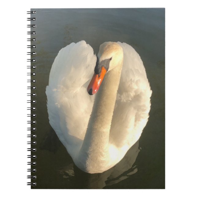 A beautiful swan notebook (Front)