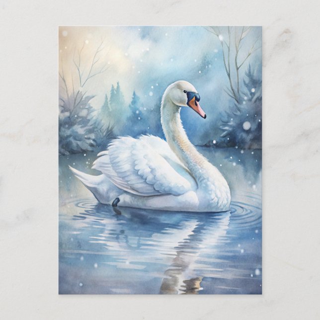 A Beautiful Swan Postcard (Front)