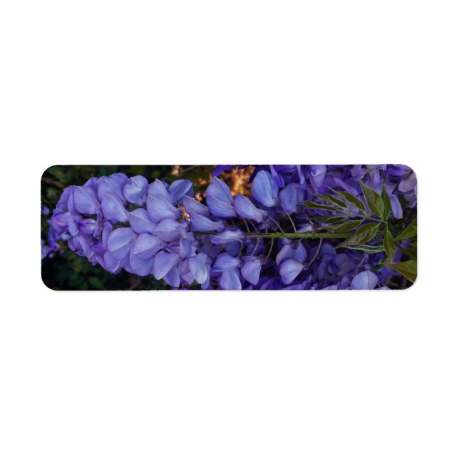 a beautiful touch of nature  (Front)