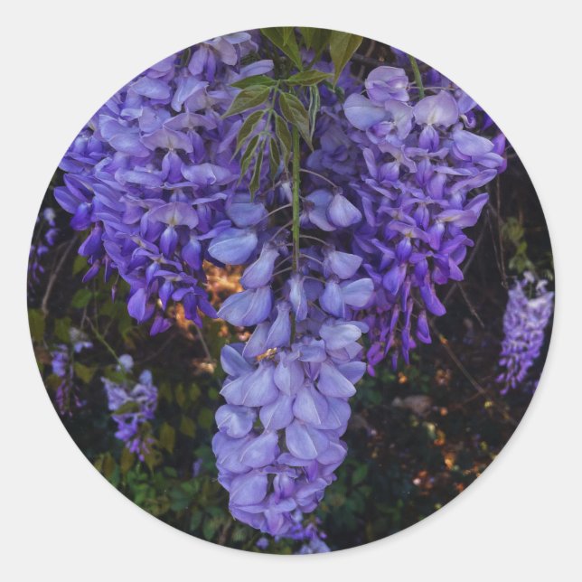 a beautiful touch of nature  classic round sticker (Front)