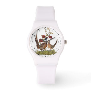 A beautiful wild bird - Pheasant Watch