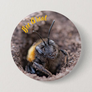 A bee on a badge 3 inch round button