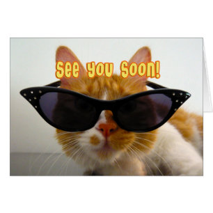 À bientôt - Chat Cool