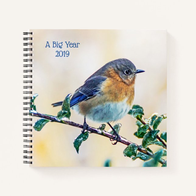 A Big Year Birding Bluebird Spiral Notebook (Front)