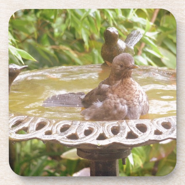 A Bird In The Bath Coaster (Front)