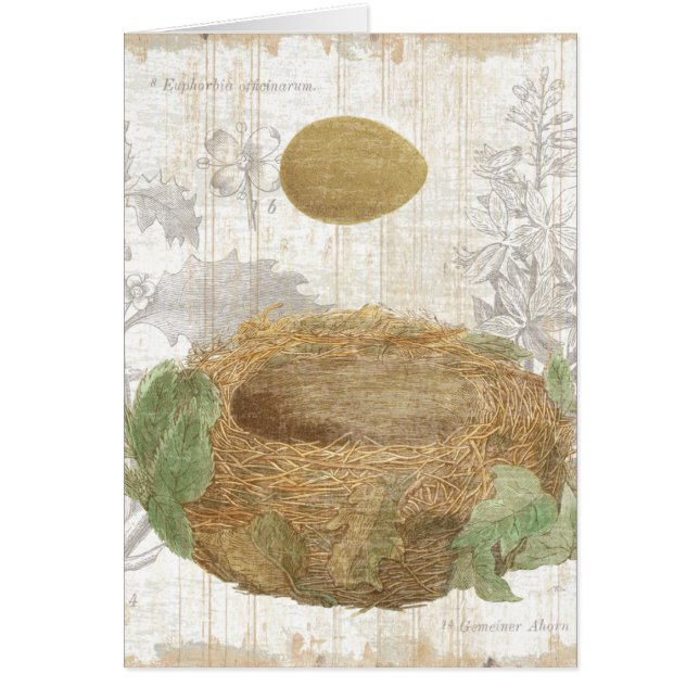 A Bird's Nest with a Brown Egg (Front)