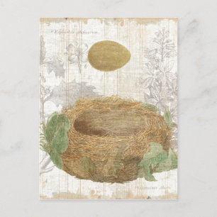 A Bird's Nest with a Brown Egg Postcard