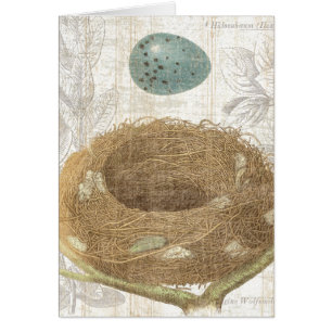 A Bird's Nest with a Decorative Egg