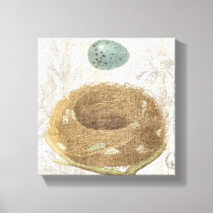 A Bird's Nest with a Decorative Egg Canvas Print