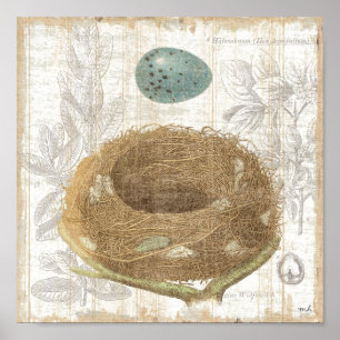 A Bird's Nest with a Decorative Egg Poster