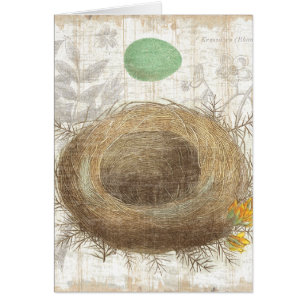 A Bird's Nest with a Green Egg