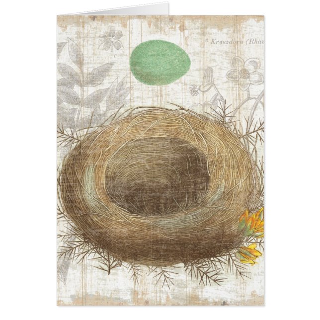 A Bird's Nest with a Green Egg (Front)