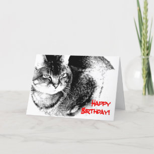 A Birthday Card - Half-Burmese Cat