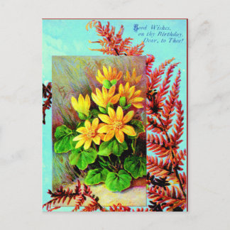 A birthday postcard for you!