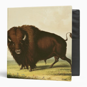 A Bison, c.1832 Binder