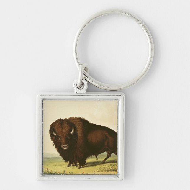 A Bison, c.1832 Keychain (Front)