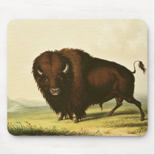 A Bison, c.1832 Mouse Pad