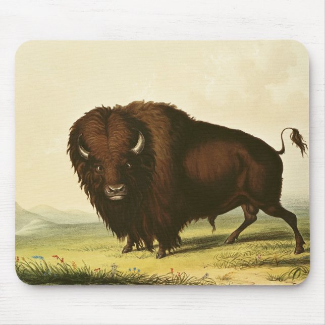A Bison, c.1832 Mouse Pad (Front)