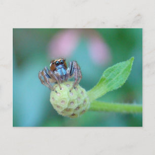 A Bit Jumpy? Postcard