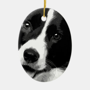 A black and white Border collie Ceramic Ornament
