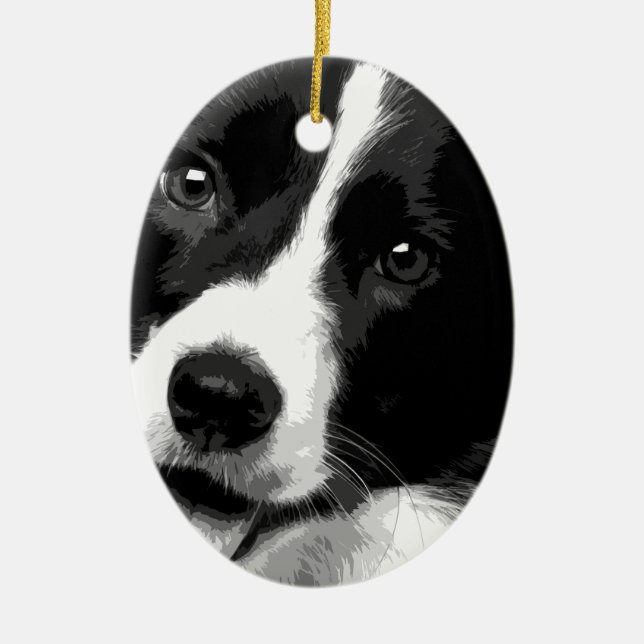 A black and white Border collie Ceramic Ornament (Front)