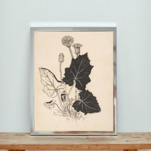 A Black and White Floral Illustration Photo Print