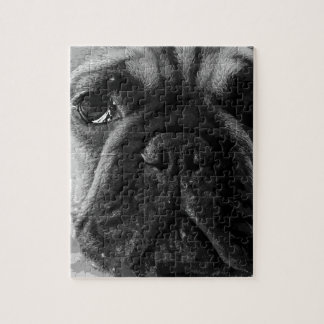 A black and white French bulldog Jigsaw Puzzle