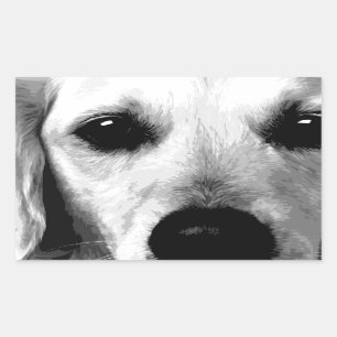 A black and white Golden retriever Sticker