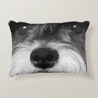 A black and white Miniature Schnauzer