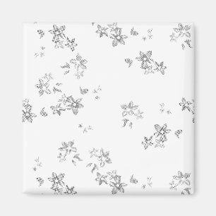 a black and white photo of snow flakes magnet