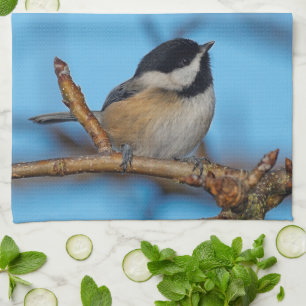 A Black-Capped Chickadee on the Pear Tree Kitchen Towel