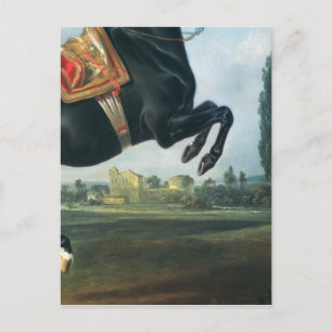 A black horse performing the Courbette Postcard