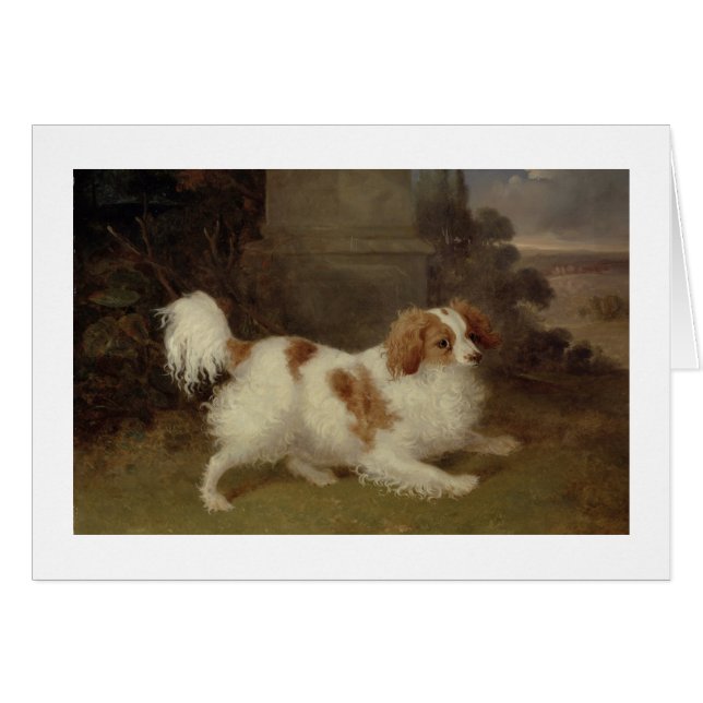 A Blenheim Spaniel, c.1820-30 (oil on canvas) (Front Horizontal)