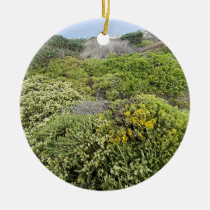 A Blooming California Ceramic Ornament