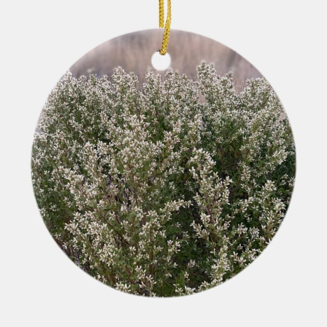 A Blooming California: Coyote Bush Ceramic Ornament (Front)