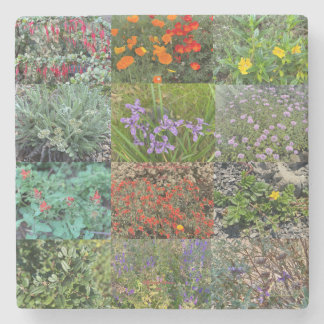 A Blooming California: Double Rainbow 2020 Stone Coaster