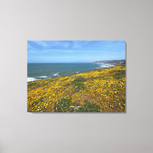 A Blooming California: Mori Point Canvas Print