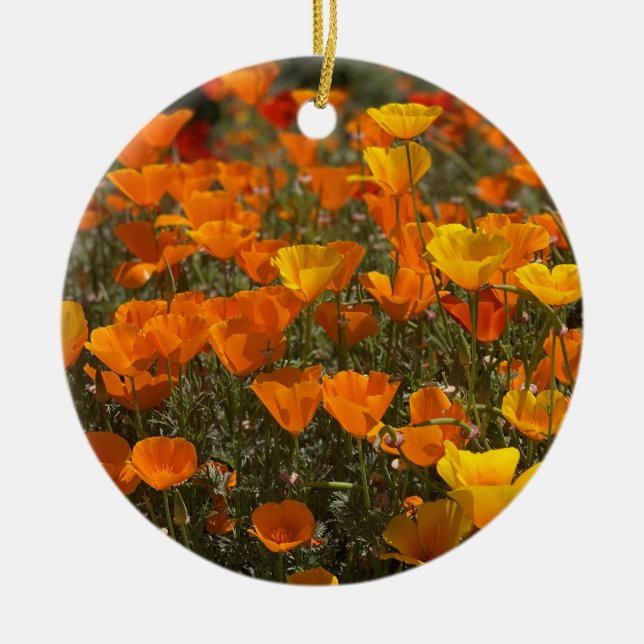 A Blooming California: Poppies Ceramic Ornament (Front)