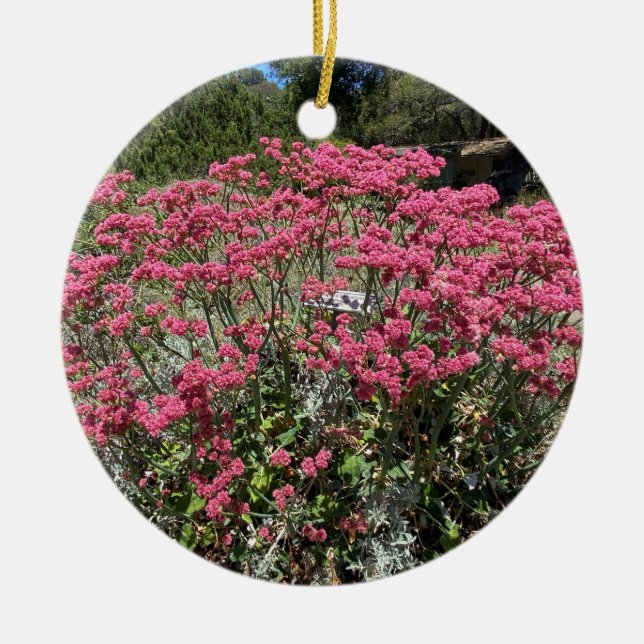 A Blooming California: Red-flowered Buckwheat Ceramic Ornament (Front)