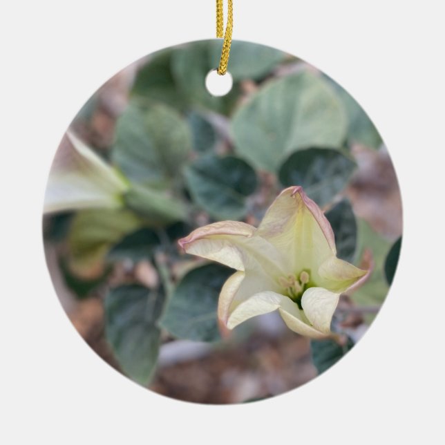 A Blooming California: Sacred Datura Ceramic Ornam Ornament (Front)