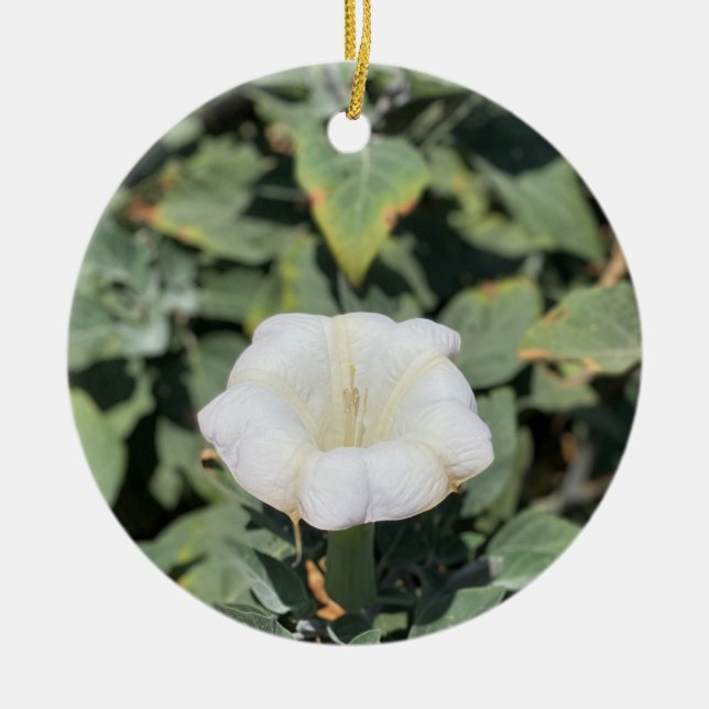 A Blooming California: Sacred Datura Ceramic Ornament (Front)