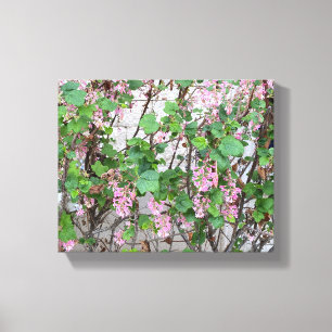 A Blooming California: Spring In Pink Canvas Print