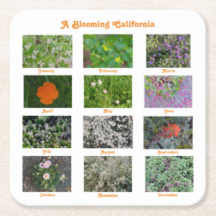 A Blooming California Square Paper Coaster