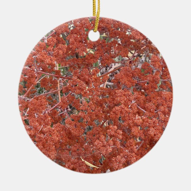 A Blooming California: St. Catherine's Lace Ceramic Ornament (Front)