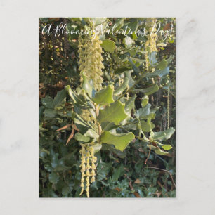 A Blooming Valentine's Day! Postcard