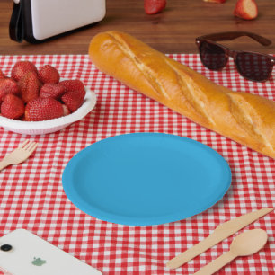 a blue background with a black and white cat on to paper plate