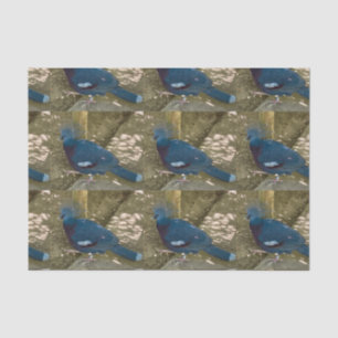A Blue Bird tissue paper